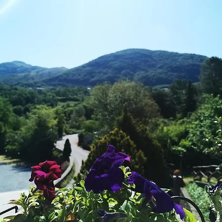 Donna Bianca Mormanno