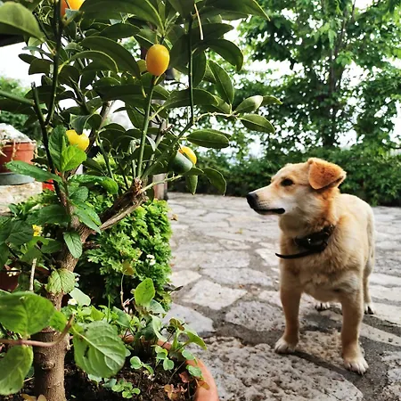 Agroturismo Donna Bianca