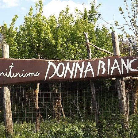 Donna Bianca Mormanno