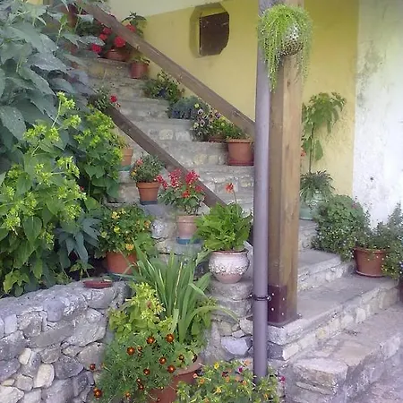 Donna Bianca Agroturismo *