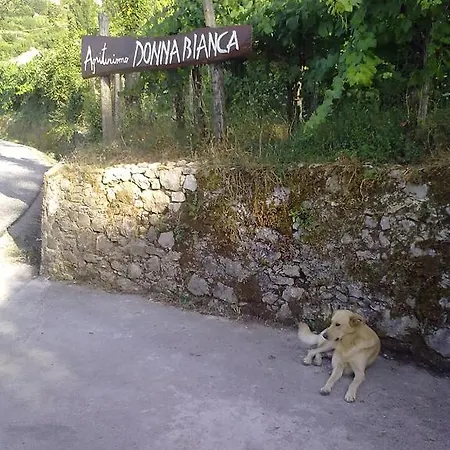Donna Bianca Séjour à la ferme