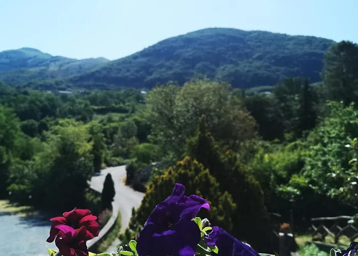 Donna Bianca Mormanno